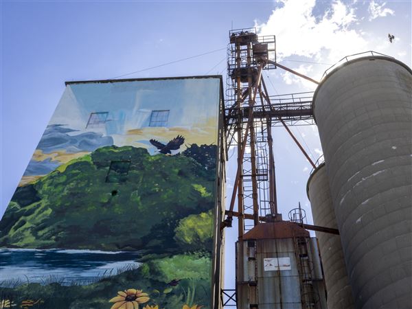 Sunflowers shine on new mural in Pemberville