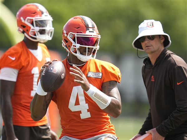 Browns to be part of 'Hard Knocks' in-season series featuring AFC North