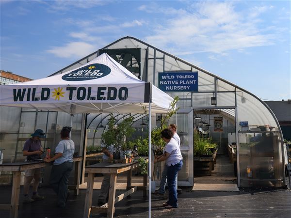 Photo Gallery: Native plants sale at the Toledo Zoo