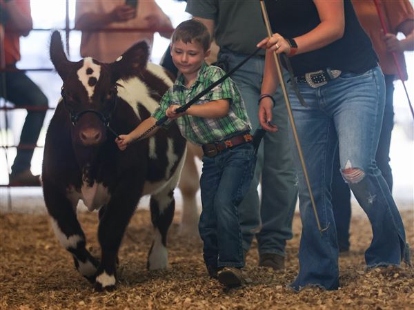 Family af-fair: County fairs promise summer of wholesome entertainment