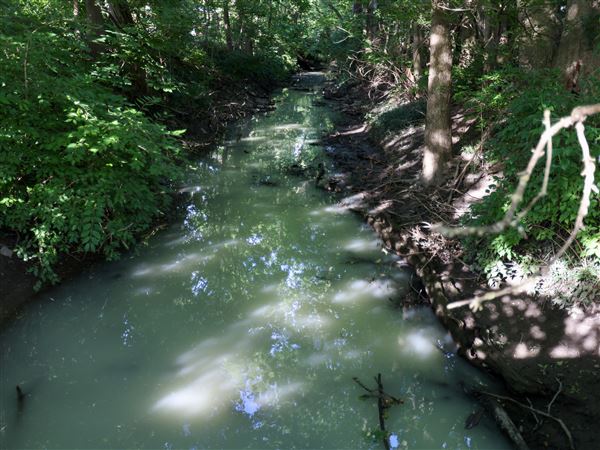 Cloudiness in Grassy Creek water inside Perrysburg came from dust suppressant spill