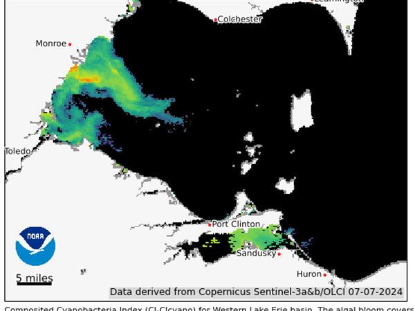 Western Lake Erie algal bloom has already grown to 160 square miles, NOAA says