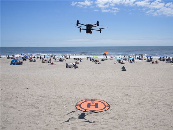 Angry birds fight drones patrolling for sharks, struggling swimmers