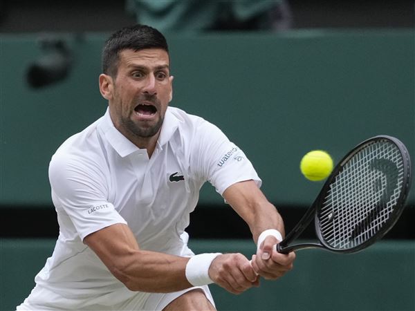 Carlos Alcaraz and Novak Djokovic will meet in Wimbledon men's final again