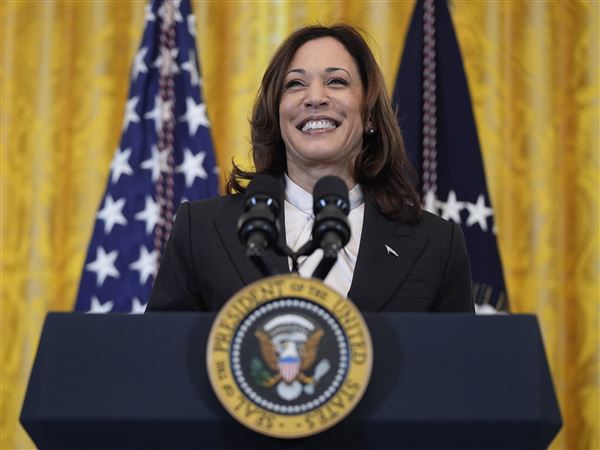 Democrats are rallying around Harris as she vows to 'earn and win' party nomination for president