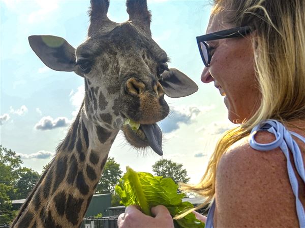 Hendel: Chamber clambake hits at Toledo Zoo once again