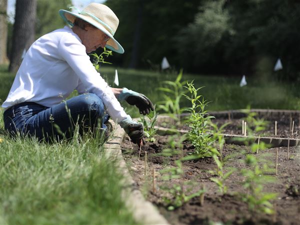 Religious Offerings: Sacred Grounds to tour community prairies