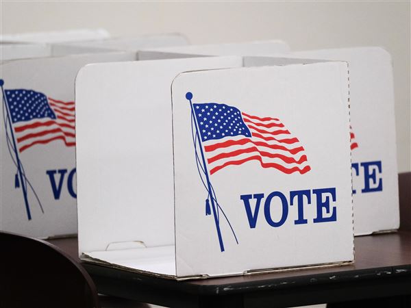 Children, senior services, library, more will be on Lucas County ballot